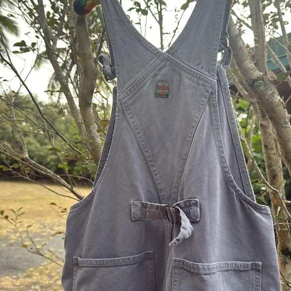 AGOLDE event vintage Blue Denim Overalls